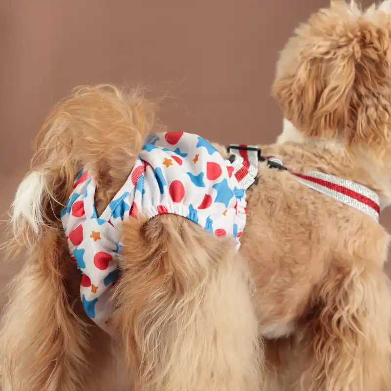 dog-pants-915-1525- (4)